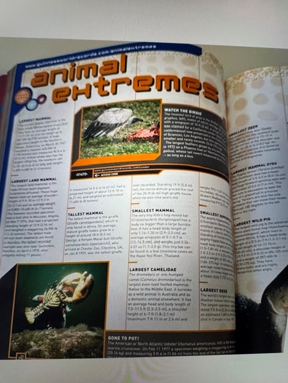 Guinness World Records 2002 - Picture 6 of 10